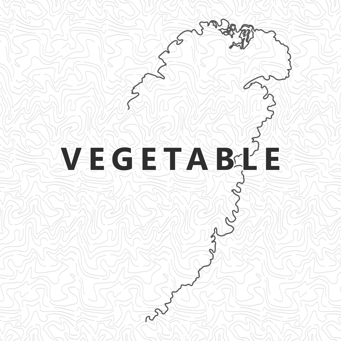 Vegetable (Vegan) Gyoza