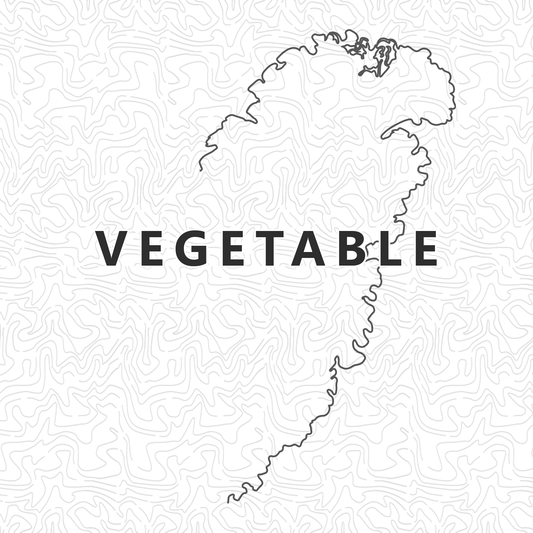 Vegetable (Vegan) Gyoza